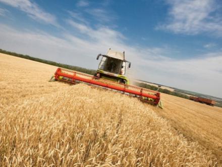 В РТ в 2014 - 2016 годах на модернизацию сельхозтехники будет выделено 6 млрд. рублей