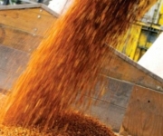 В России экспорт зерна в этом году может достичь 20 млн. тонн